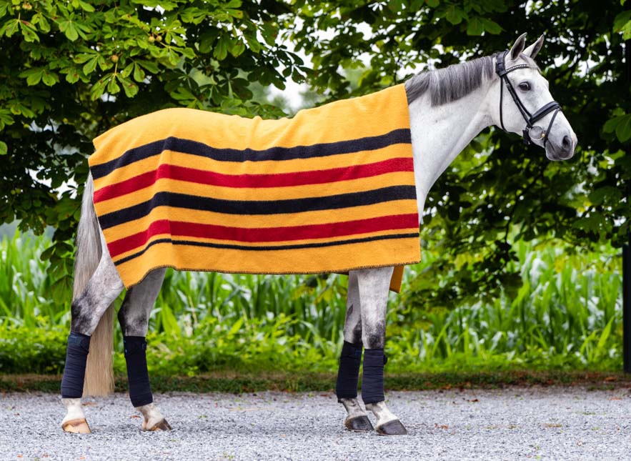 Horse Blankets